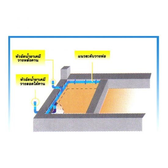กำจัดปลวก เชียงใหม่ กำจัดปลวก  กำจัดปลวก เชียงใหม่  กำจัดปลวกตายยกรัง  กำจัดปลวกราคาถูก 