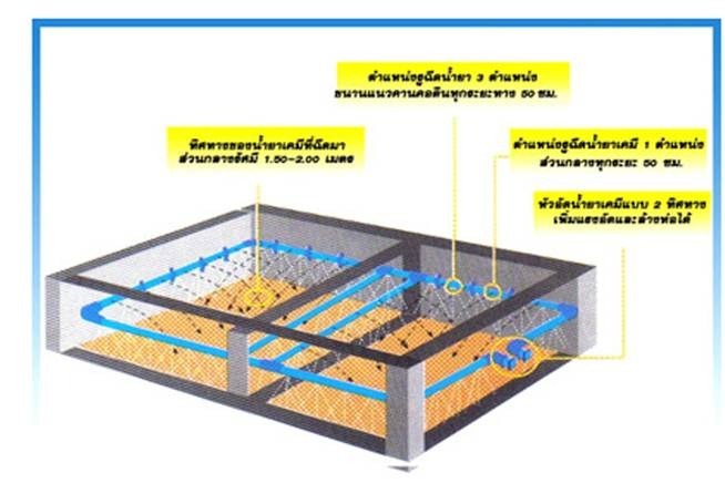 วางท่อกำจัดแมลง เชียงใหม่